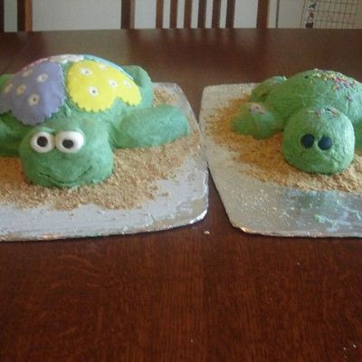 Mama And Baby Turtles