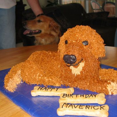 Golden Retriever Birthday Cake