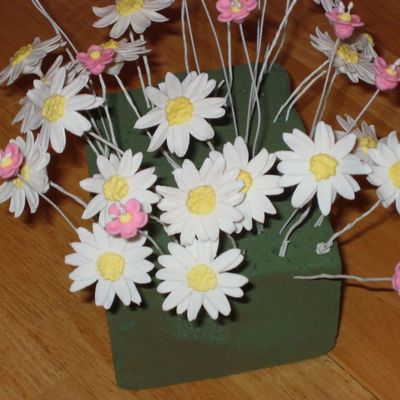 My First Gumpaste Flowers