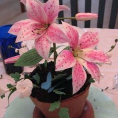 Stargazer Lily And Freesia Plant