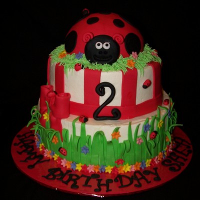 Ladybug Birthday