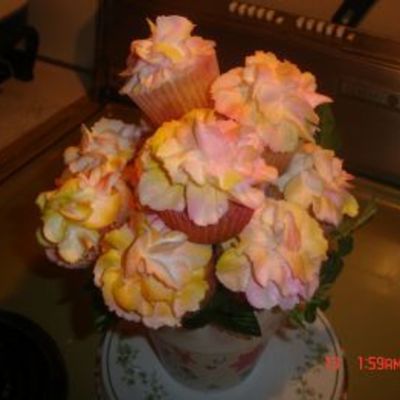 Begonias 2 Of 2