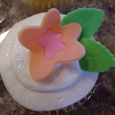 Birthday Cupcake