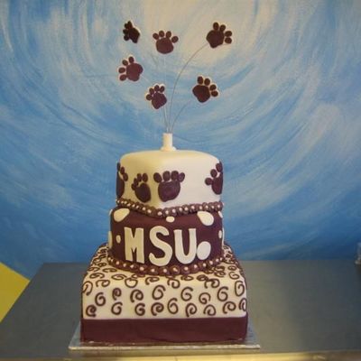 Mississippi State University