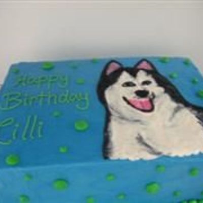 Husky Dog