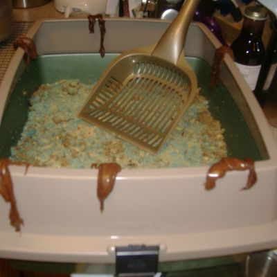 Kitty Litter Cake
