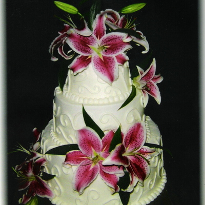 Stargazer Cake
