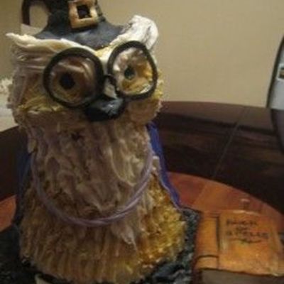 Harry Potter As An Wizard Owl