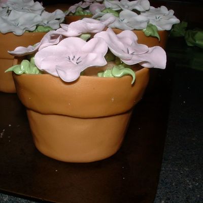Flower Pot Cakes