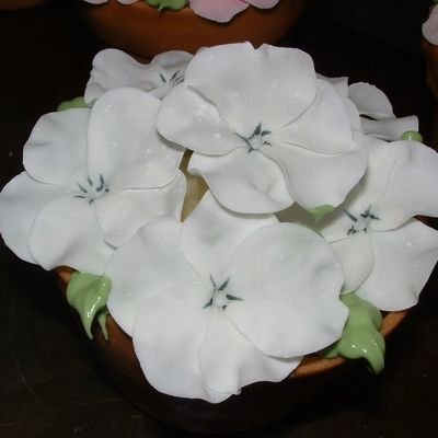 Flower Pot Cakes