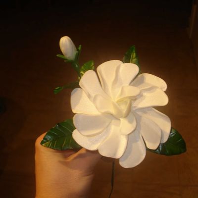 Gardenia