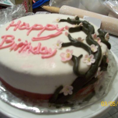 Sarah's Birthday Cake