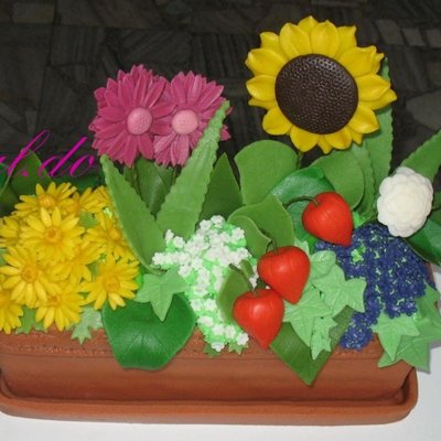 Window Box Cake