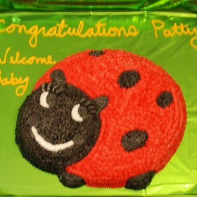 Lady Bug Baby Shower Cake
