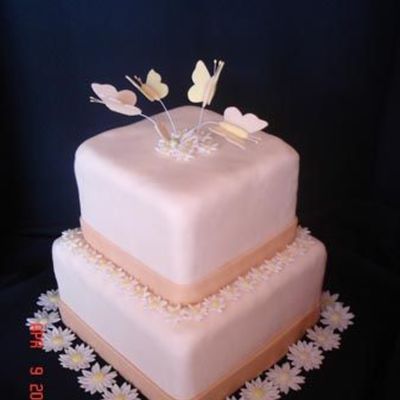 Butterflies & Daisies