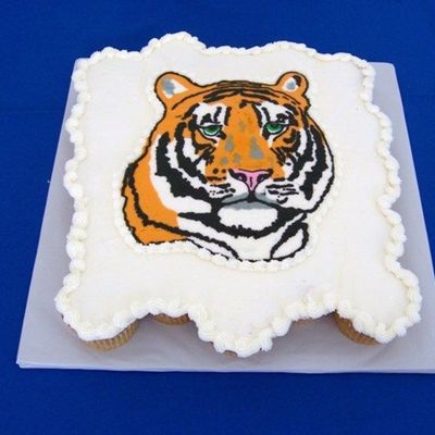 Tiger Cupcake Cake
