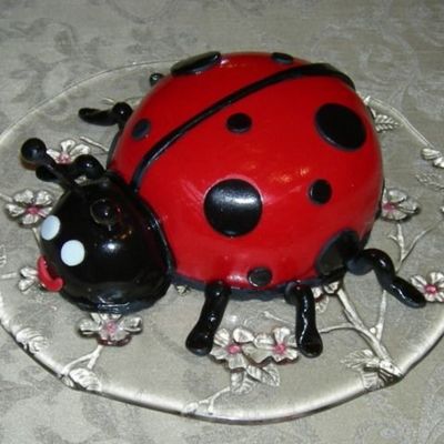 Lady Bug