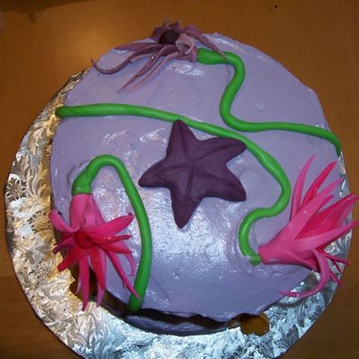 Purple Top Hat Top View