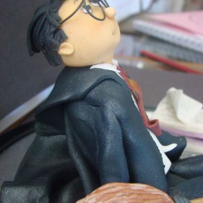 Harry Potter Side View