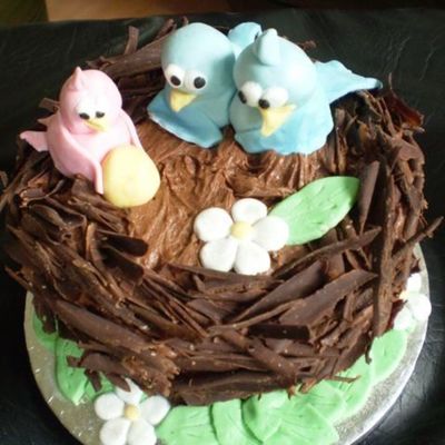 Birds Nest Cake