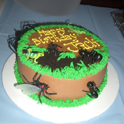 Bug Cake
