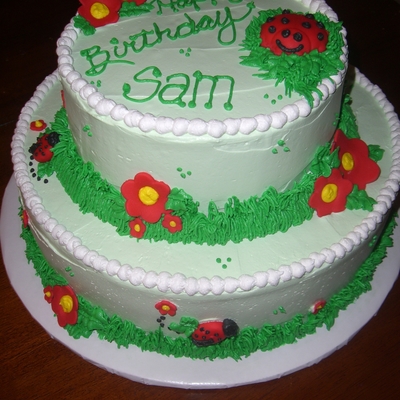 Sam's Ladybug Birthday Cake