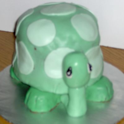 Precious Moments Turtle