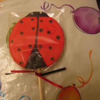 Ladybug Party Favor