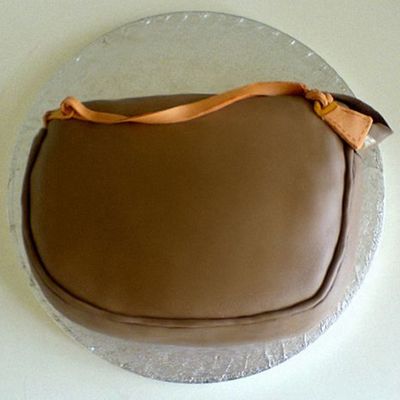 Should Have Been "lv" Purse