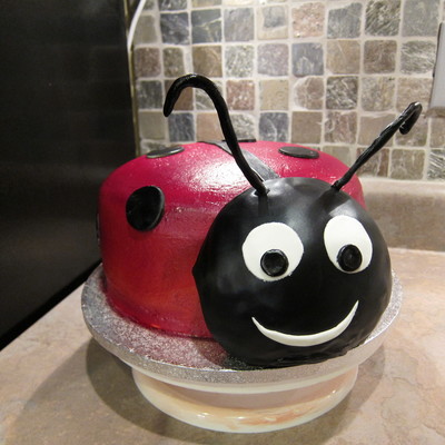 Ladybug Cake