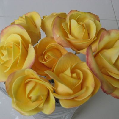 Yellow Roses