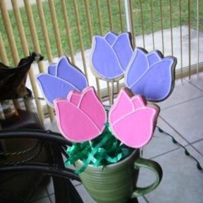 Purple N Pink Flowers