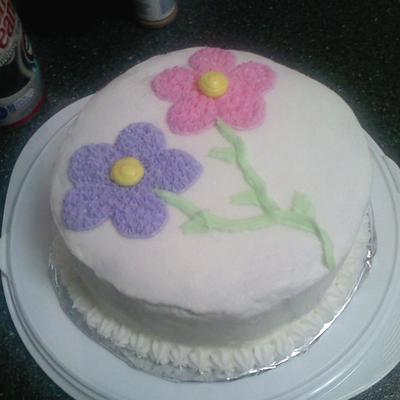 First Cake, Wilton Class 1