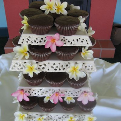 Chocolate Cupcakes With Frangapani's