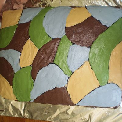 Camo Going Away Cake