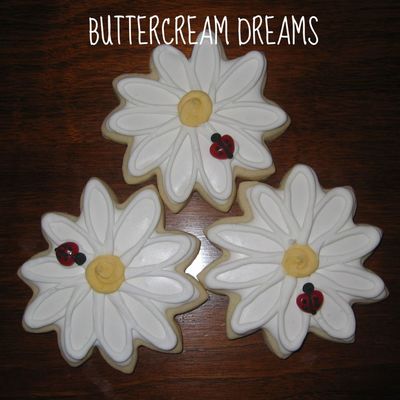 White Daisies W/ Lady Bugs 08