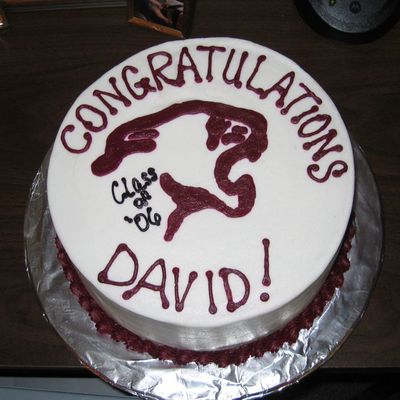 Cougar Mascot Cake 06