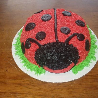 Ladybug (Smash Cake)