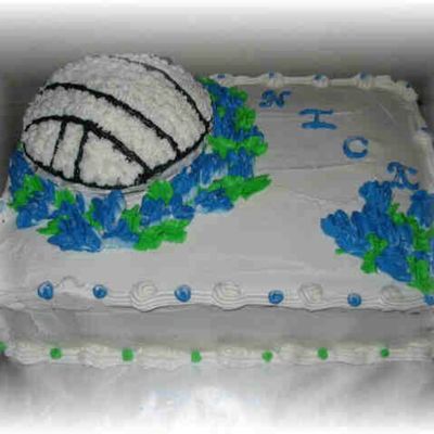 Volleyball/bluebonnets