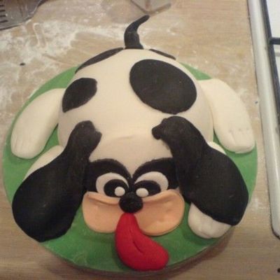 Black And White Spotty Dog