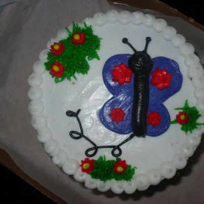 Butterfly Smash Cake For Party To Match Sheet Cake
