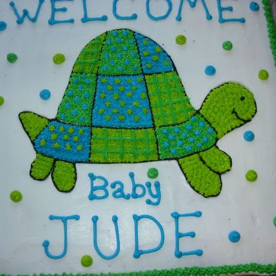 Turtle Baby