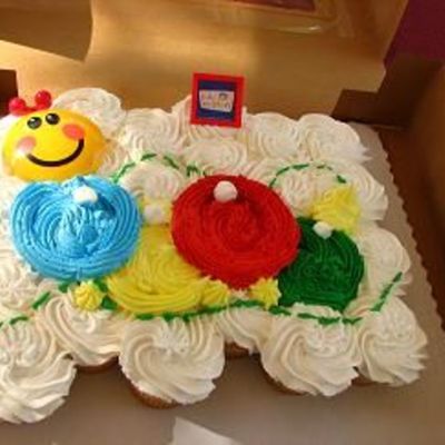 Little Einstein Cupcake Cake