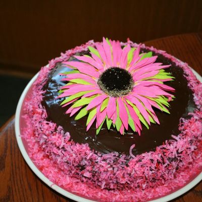 Chocolate On Chocolate