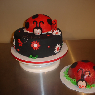 Lady Bug Birthday