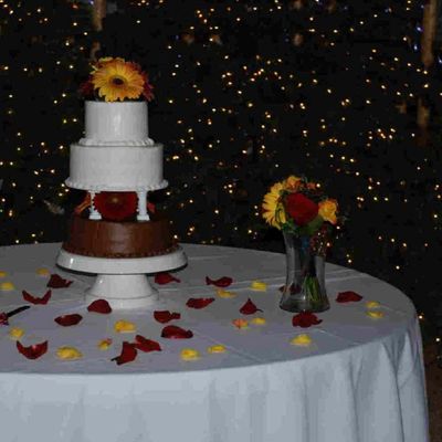 Cassie's Wedding Cake