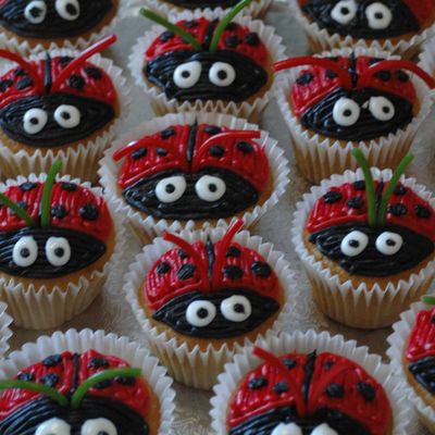 Ladybug Cupcakes!