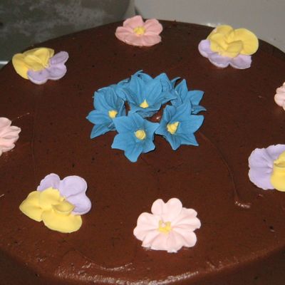 Chocolate Chocolate Cake