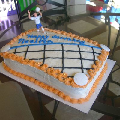 Volleyball Cake
