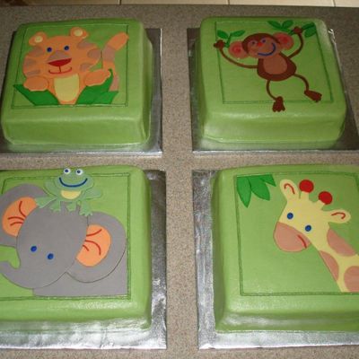 Nojo Jungle Baby Cakes